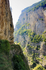 gorge in the mountains in summer