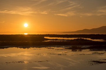 Fototapeta na wymiar Sunset in the ebro delta by the sea