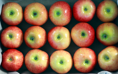 Ripe red apples are laid neatly in a box in rows