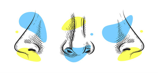 Set of nose in pencil art style. Creative yellow and blue color. Vector illustration design.