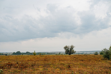 Fototapeta na wymiar Ukraine. Summer landscape steppe, ecology scene. Erosion of natural landscape. Luhansk region