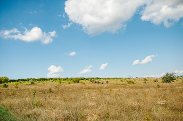Obraz premium Ukraine. Summer landscape steppe, ecology scene. Erosion of natural landscape. Luhansk region