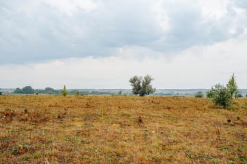 Ukraine. Summer landscape steppe, ecology scene. Erosion of natural landscape. Luhansk region