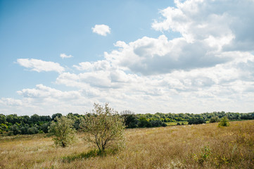 Fototapeta na wymiar Ukraine. Summer landscape steppe, ecology scene. Erosion of natural landscape. Luhansk region