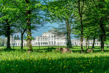 Reggia di Stupinigi  © andrea