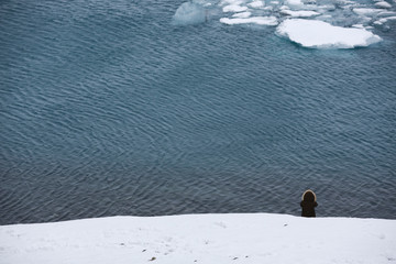 Solitude in icebergs lagoon