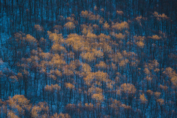 parco nazionale d'abruzzo