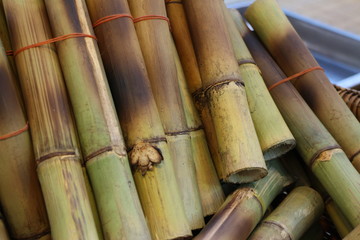 Steamed Sticky Rice in Bamboo, Street Food in Bangkok, Thailand