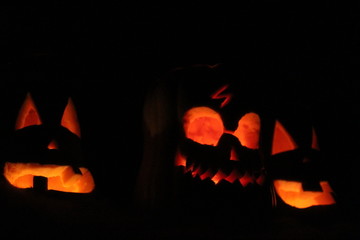 Fototapeta premium halloween pumpkin 