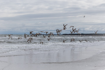 Ostsee