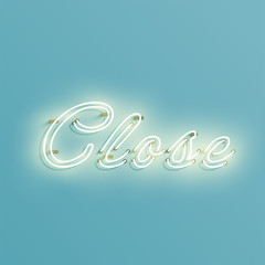 Obraz na płótnie Canvas Neon sign from a typeface, vector