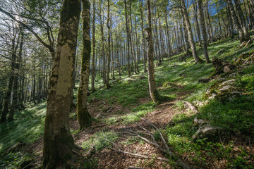 parco nazionale d'abruzzo