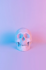 Pastel neon blue and pink light paint on plaster skull