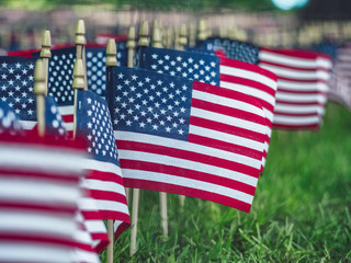 American Flag Day