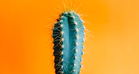 Foto op Aluminium Groene cactusclose-up over heldere oranje pastelkleurachtergrond. Kleurrijk geel zomer trendy creatief concept. © hitdelight