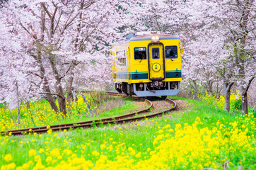 春のいすみ鉄道