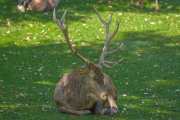 parco nazionale d'abruzzo