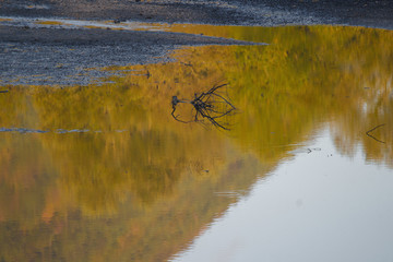 parco nazionale d'abruzzo