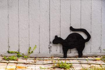 Attack cat against garden wall