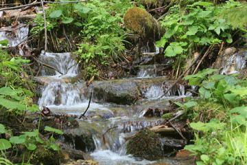 waterfall in forest