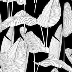 Seamless banana leaf pattern background. Black and white with drawing line art illustration. Black backdrop.