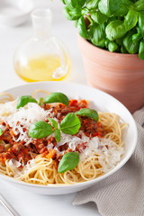 spaghetti bolognese with basil and parmesan, italian pasta