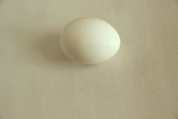 white egg on white background. isolated close-up cutout