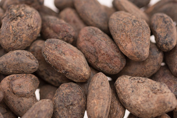 Cocoa beans  detail