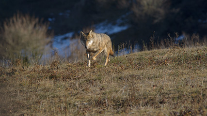 parco monte amiata
