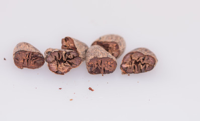 Cocoa beans on white background, isolated