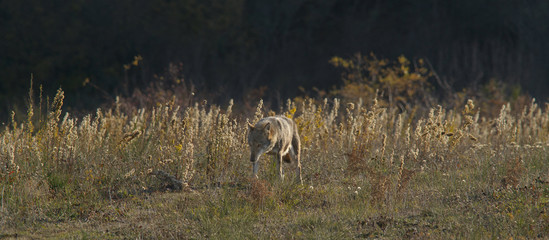 parco monte amiata