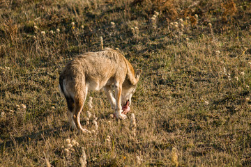 parco monte amiata