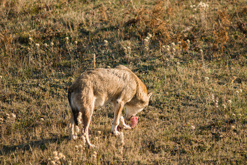 parco monte amiata
