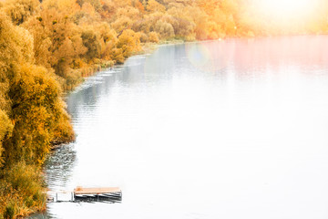 Beautiful autumn background in a park on the nature