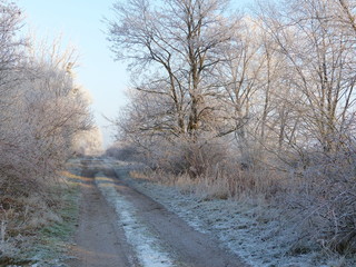 winter