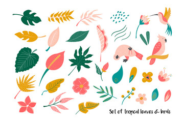Big set of bright tropical leaves and birds.