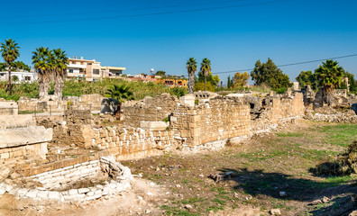 The Al-Bass Tyre necropolis in Lebanon
