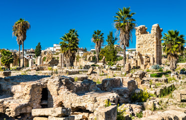 The Al-Bass Tyre necropolis in Lebanon