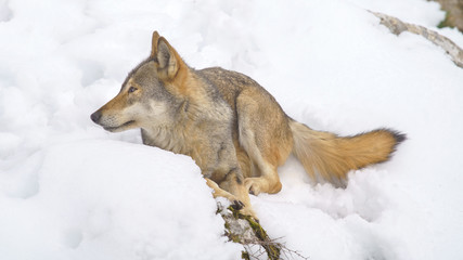 parco nazionale d'abruzzo
