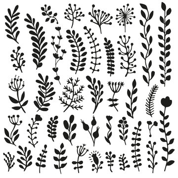 Bullet journal hand drawn vector elements for notebook, diary and planner. Set of doodles branches, herbs, plants.