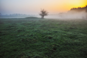 picturesque spring morning. morning river. scenic dawn