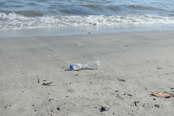 polution pet on sand