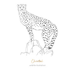 Vector illustration of cheetah standing on dry tree. Hand drawn ink realistic sketching isolated on white. Perfect for logo branding t-shirt coloring book design.