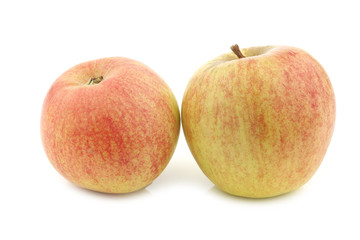 fresh Dutch cooking apples on a white background