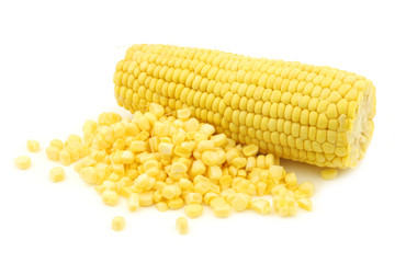 fresh corn on the cob and some kernels  on a white background