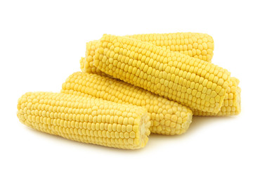 fresh corn on the cob  on a white background