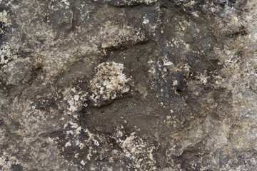 The surface of the stone in the city park winter sunny day