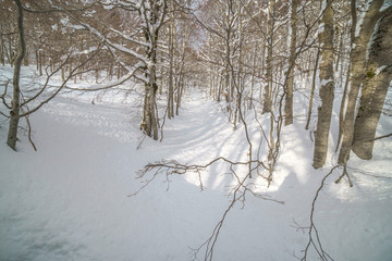 parco nazionale d'abruzzo