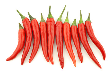 red rawit peppers (Capsicum annuum 'Bird's Eye') in a row on a white background