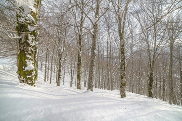 parco nazionale d'abruzzo